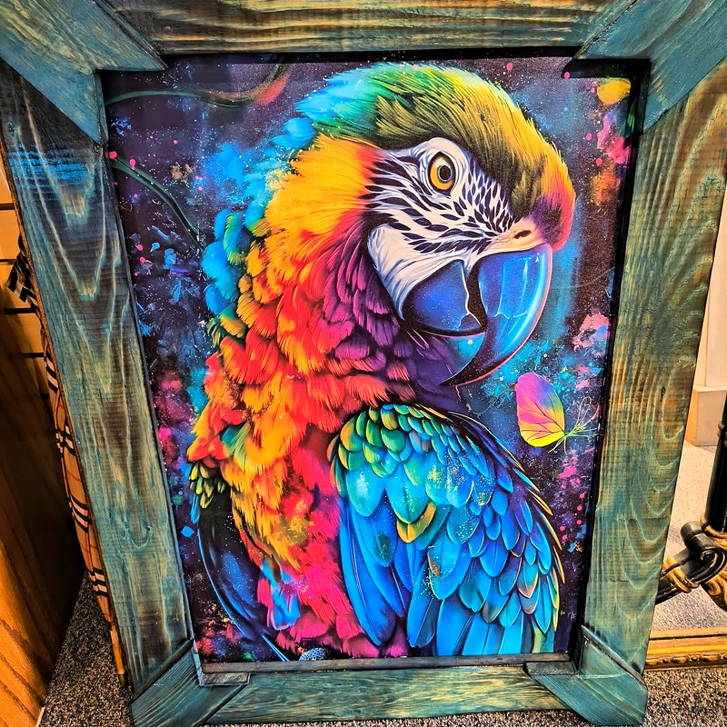 Colorful parrot bird framed art